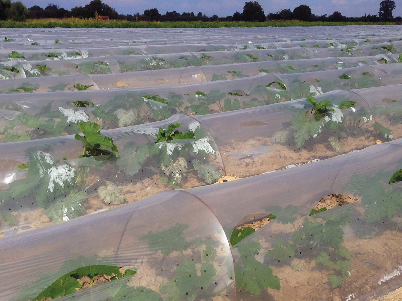 PVC/HDPE Cable Protection Tiles