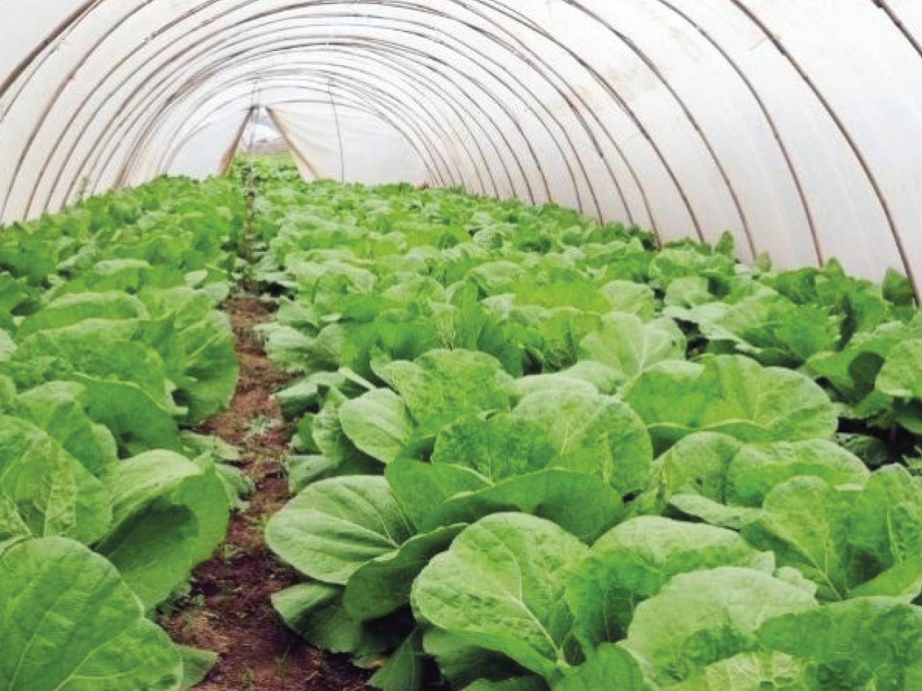 PVC/HDPE Cable Protection Tiles